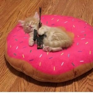 Meet your Posher, Angel